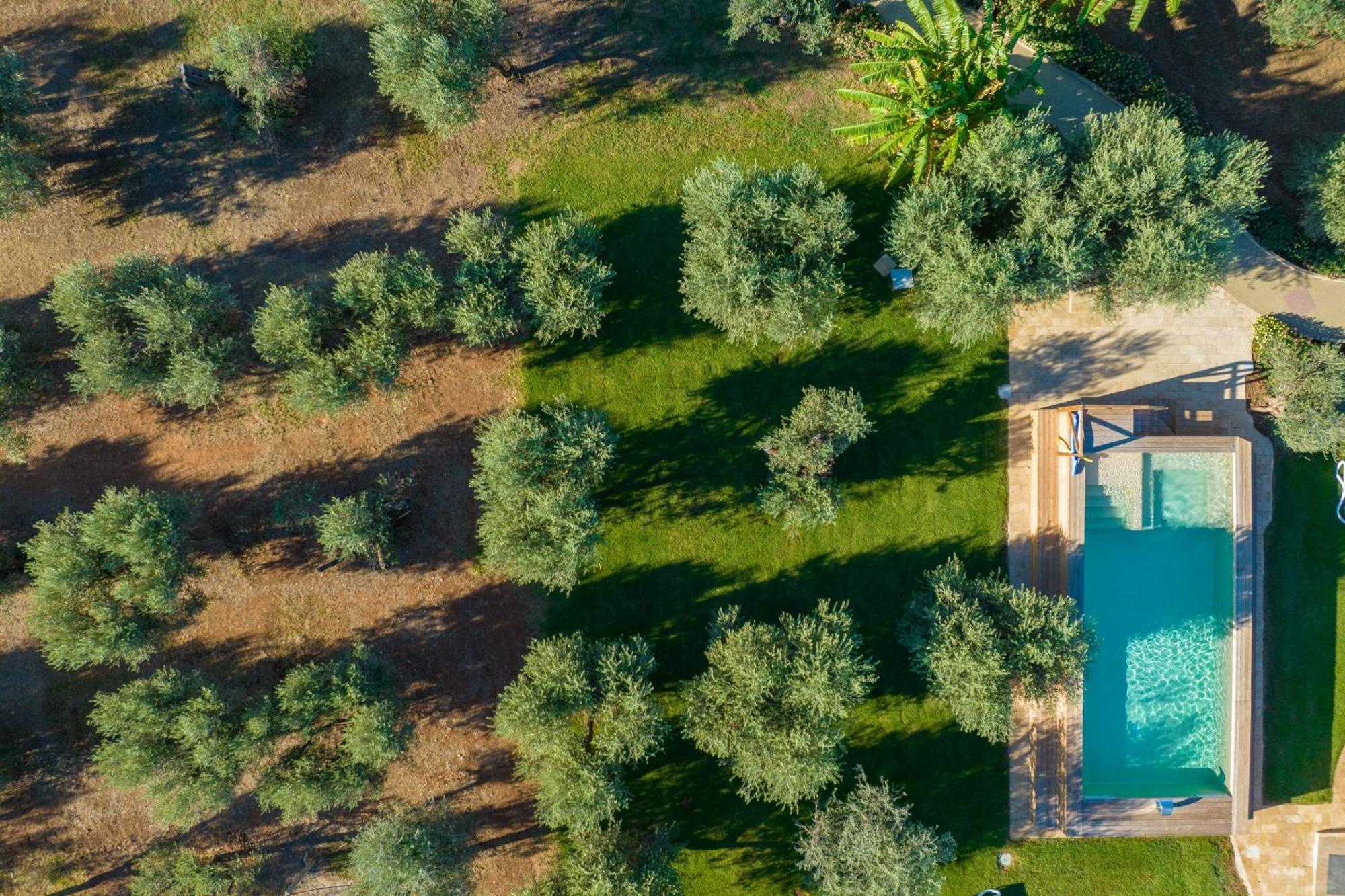 Dimora Tenuta Solentino Torre San Giovanni Ugento Dış mekan fotoğraf