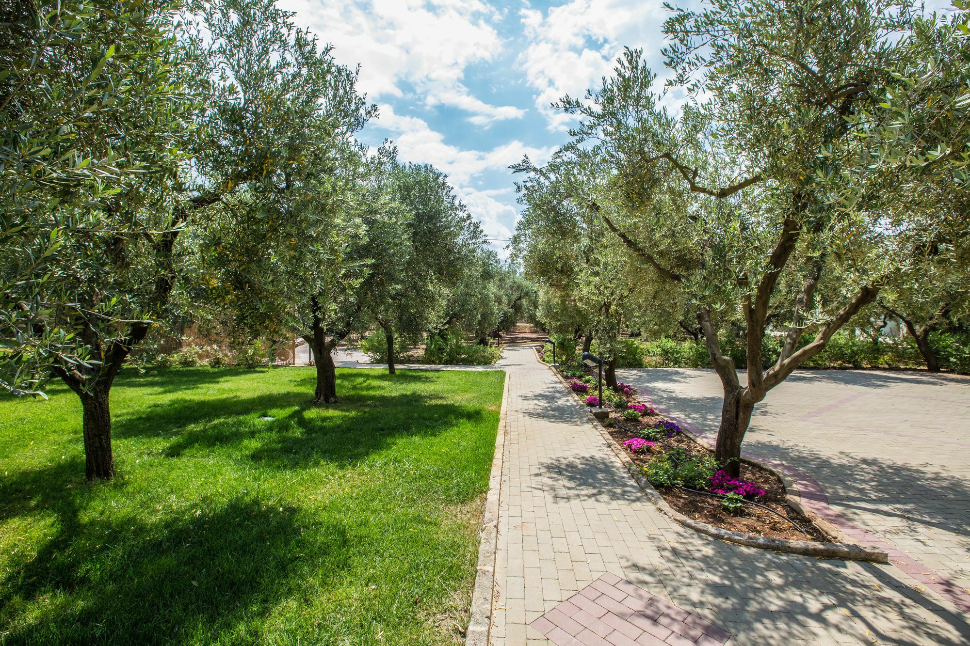 Dimora Tenuta Solentino Torre San Giovanni Ugento Dış mekan fotoğraf